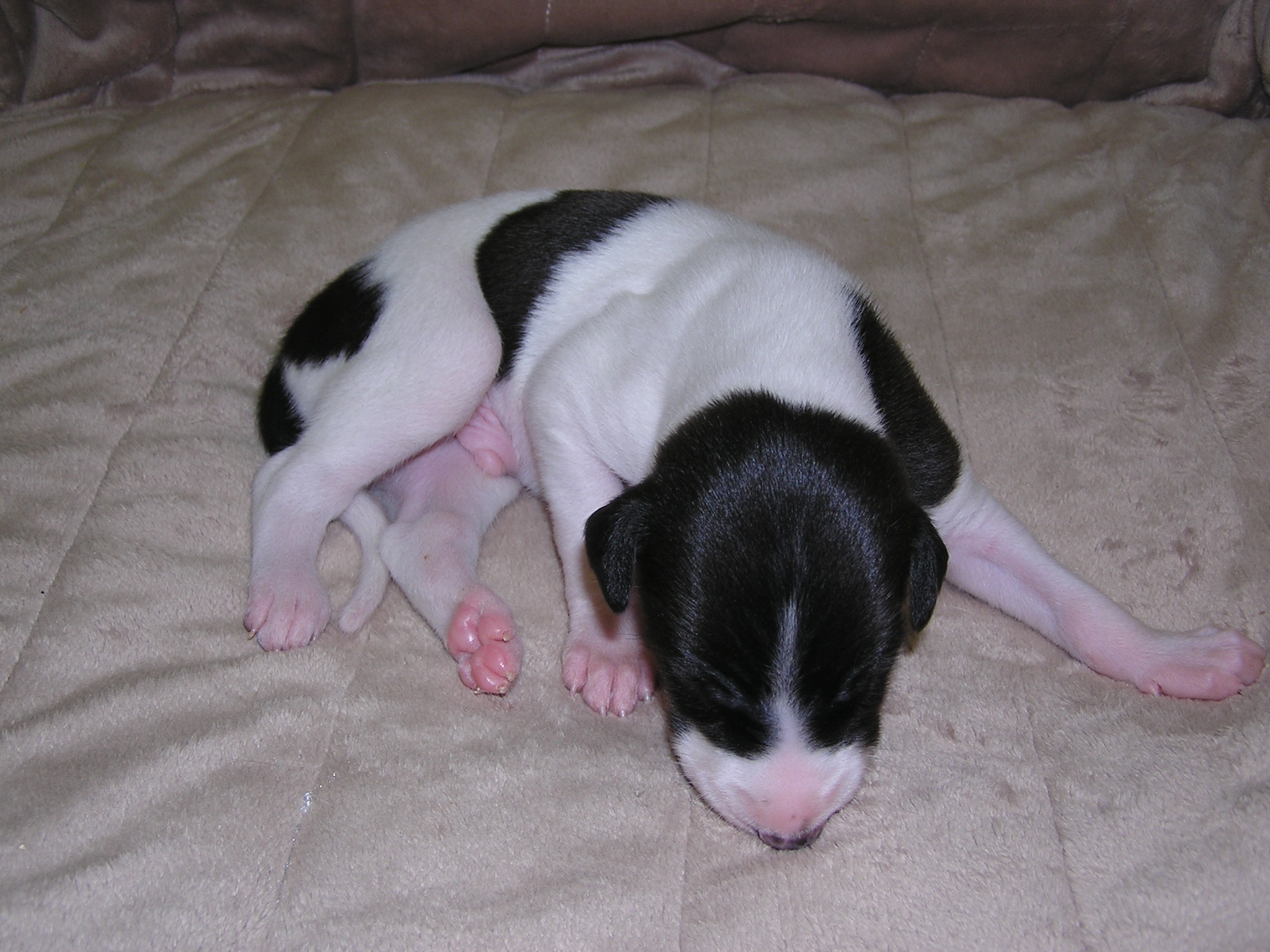 Arthur 24.3.2010